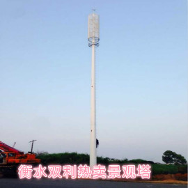 通信塔、美化塔、仿生塔、一体化机房、监控塔、三管塔、自立塔