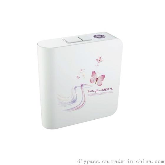 鼎派卫浴DIYPASS BT-5603  陶瓷蹲便器冲水箱