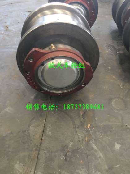 欧式运行机构用车轮组|直销江苏省|φ250主动车轮组|欧式车轮组厂家|球墨铸铁车轮组|进口轴承|球铁轴承座|欧式车轮组报价|赛奥威