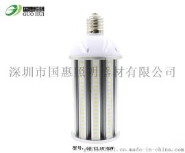 65WLED玉米灯 中华庭院草坪防水玉米灯 高棚仓库厂房防尘65W玉米灯