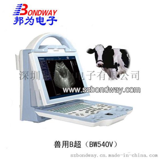 质量可靠, 厂家低价直销 B超机, B超仪, 兽用B超, 医用B超机