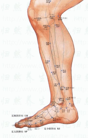 来宾针灸推拿拔罐刮痧理疗培训学校