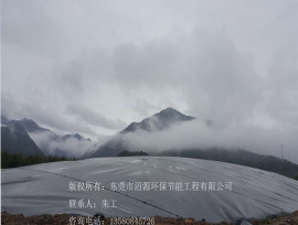 沼气工程 沼气池 黑膜沼气池 软体沼气建设公司