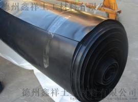 优质防渗膜选购 山东鱼塘防渗膜生产厂家