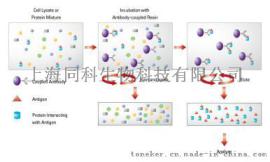 免疫共沉淀（coimmunoprecipitation）技术服务, 同科生物