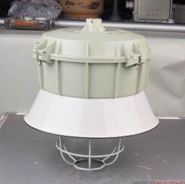 厂家直销250W一体式防爆防腐金卤灯BF-L250