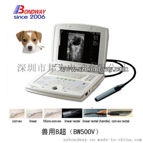 年尾特价促销 兽用B超设备 台式B超机 动物检查仪 宠物医疗 B超