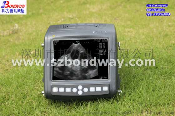 BW560V-PRO厂家供应动物兽用b超 掌上全数字B超机 猪用各种B超