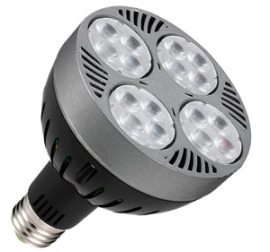 LED PAR30灯头