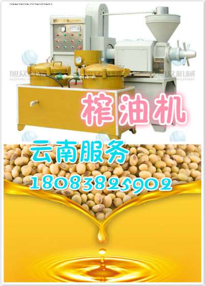 云南榨油机 云南小型家用食用油设备
