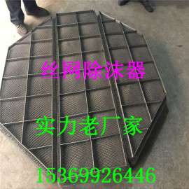 抽屉式丝网除沫器 丝网除沫器实力厂家