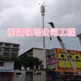 通信塔生产厂家、美化树、景观塔、三管塔、角钢塔直销厂家