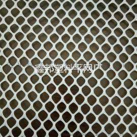 塑料平网 养殖网 育雏网