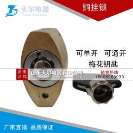 国家电网专用铜挂锁，电力表箱锁，通开铜挂锁