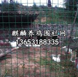 养殖围栏网厂家供应更实惠