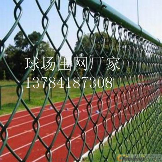 飞创学校体育场围墙网 多种规格球场围网 护栏网厂家直接批发