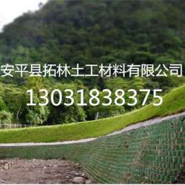 高强土工格室HDPE片材蜂巢格室带排水孔土工格室土工格栅边坡防护