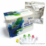 单核细胞增生李斯特氏菌核酸检测试剂盒