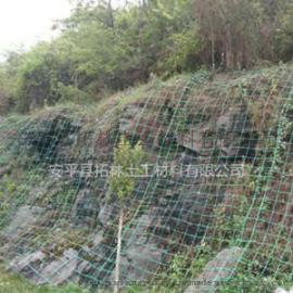 山坡绿化植物攀爬网 绿色土工格栅 护山绿化钢塑土工格栅厂家
