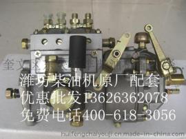 最全最好的潍坊6113柴油机喷油泵厂家特价