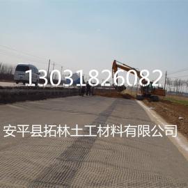 拓林供应塑料土工格栅30KN路基加固工程专用土工格栅