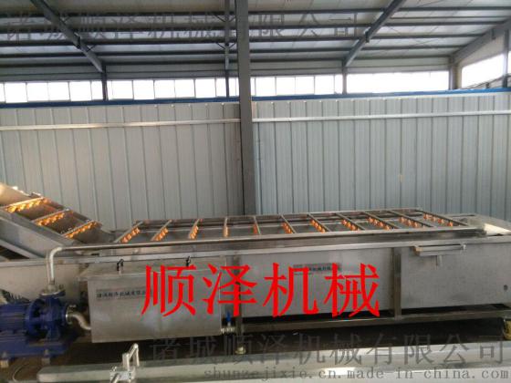顺泽sz-5000型蔬菜清洗机 腌渍菜清洗脱盐机 清洗风干流水线 304不锈钢