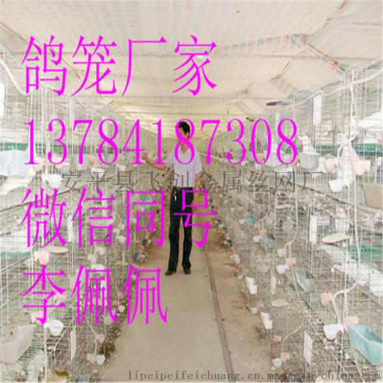 在哪买鸽子笼 鸽笼厂家全国配送三层鸽笼 鸽笼配件