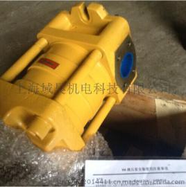 IGP5-L100齿轮泵