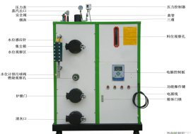 50公斤生物质蒸汽机GZS0.05—0.7—BF厂家报价