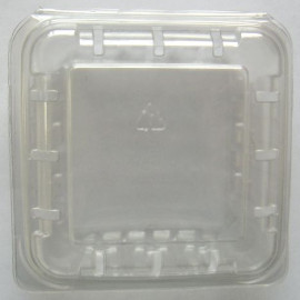 一次性超市125克PET蓝莓盒
