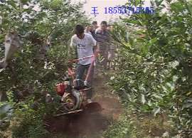 供应微型汽油除草机，大棚翻土机旋耕
