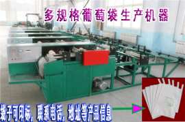 凯祥新品多规格葡萄袋机，全自动葡萄套袋纸袋机