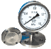 隔膜法兰压力表