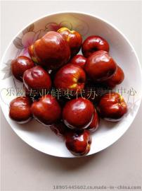 山东元红枣产地批发价格