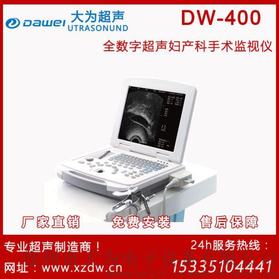 可视人流机/可视人流机厂家 DW-400