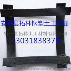 厂家生产钢塑复合土工格栅 挡土墙加筋钢塑土工格栅 价格便宜