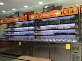 FIRSCOOL麻辣烫冰柜 杨国福FIRSCOOL冷柜