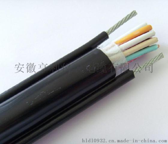 氟塑料控制电缆KYVP2硬件资源