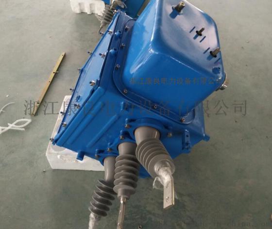 厂家直供FZW28（A）-12F型分界真空负荷开关
