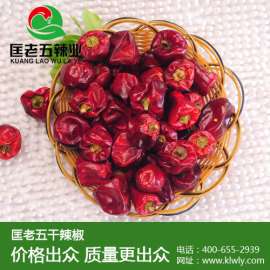 深圳餐饮店干辣椒 只选用 匡老五辣业