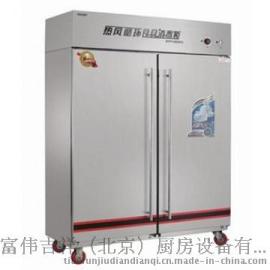 亿高RTP1000FC立式双门消毒柜 高温热风循环消毒柜 带推车