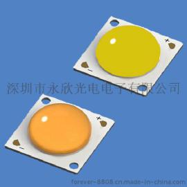 永欣-透镜COB-30W