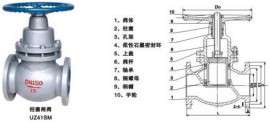 浙江瓯北316不锈钢柱塞闸阀，316不锈钢柱塞闸阀价格
