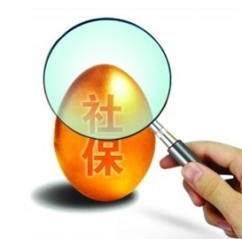 非深户个人社保续交，深圳个人生育保险代交