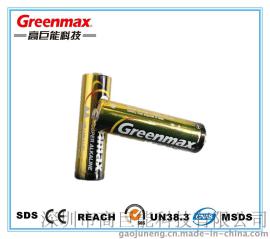 批发5号电池 碱性干电池 AA LR6 五号电池 电动玩具 遥控器电池