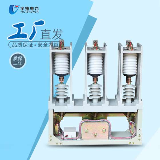 CKG4-160-250/12KV高压真空接触器