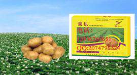 甘肃省土豆田苗后专用除草剂批发价格