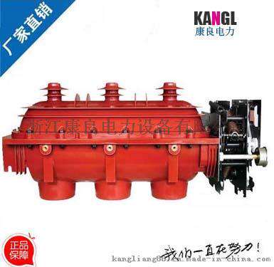 专业生产FLN36-12D六氟化硫负荷开关