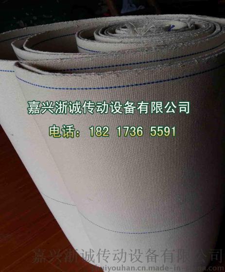 浙江全棉帆布输送带