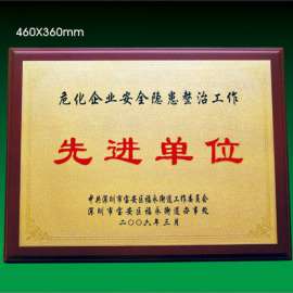 优秀单位铂金奖牌 木质底奖牌  企业奖牌定做